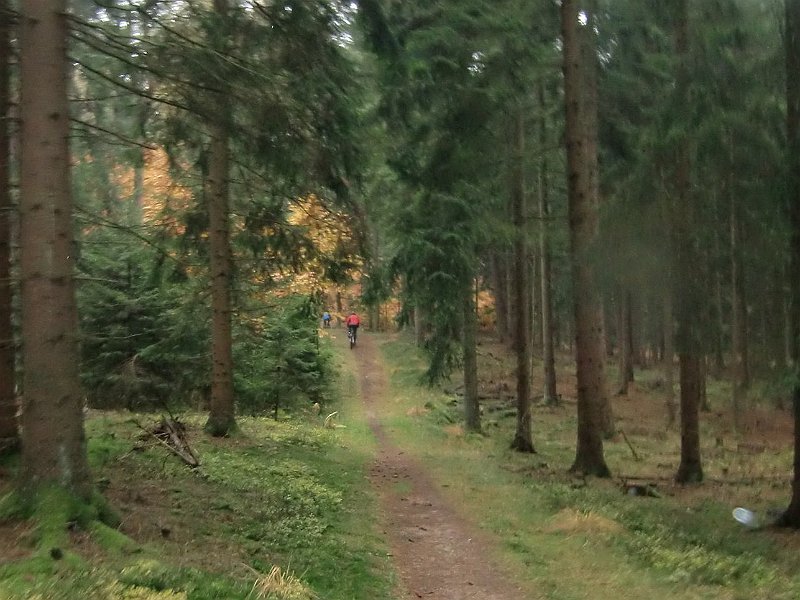 Wilseder Berg 1 2010 034